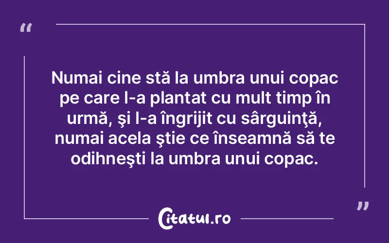 Citat Autor necunoscut - citate viata