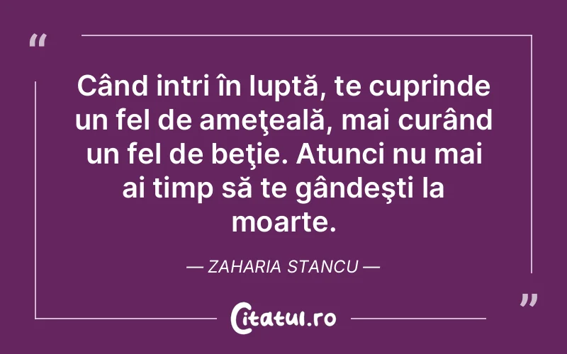 Citat Zaharia Stancu - citate viata