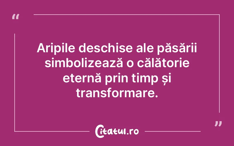 Citat Autor necunoscut - citate viata