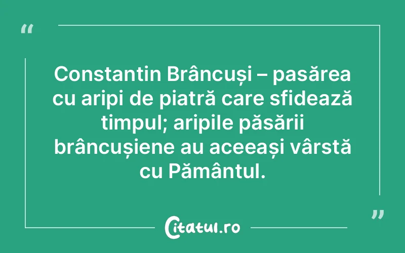 Citat Autor necunoscut - citate viata