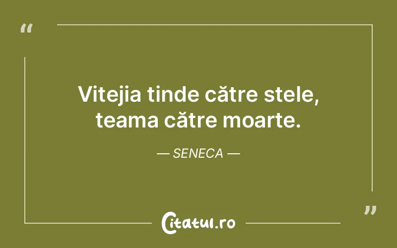 Citat Seneca - citate viata