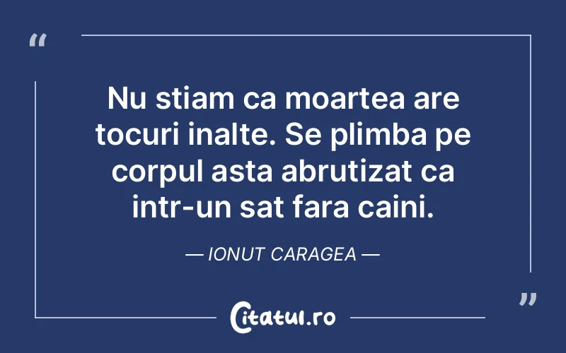 Citat Ionut Caragea - citate viata