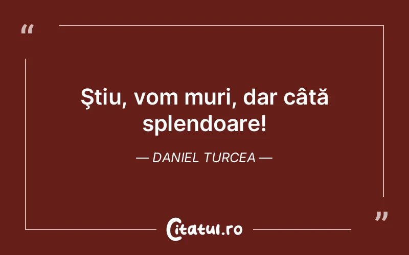 Citat Daniel Turcea - citate viata