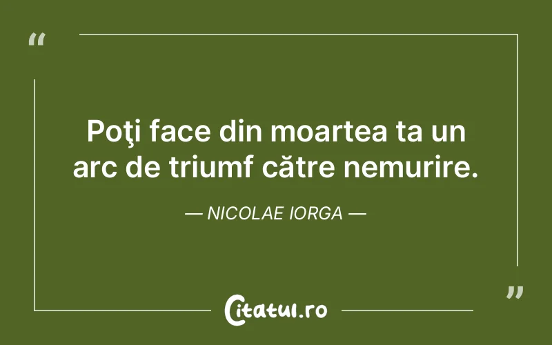 Citat Nicolae Iorga - citate viata