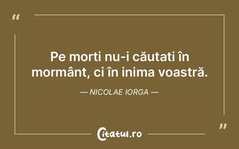 Citat Nicolae Iorga - citate viata