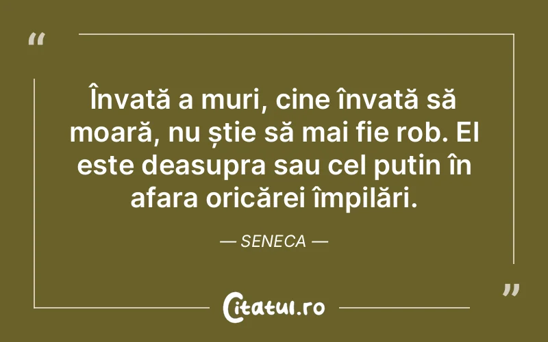 Citat Seneca - citate viata