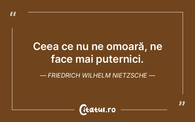 Citat Friedrich Wilhelm Nietzsche - citate viata