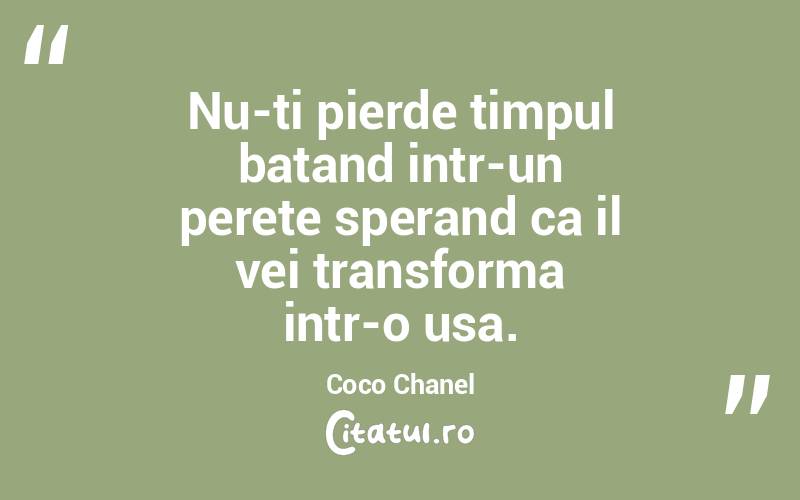 Nu-ti pierde timpul batand intr-un perete sperand ca il vei transforma intr-o usa. Coco Chanel