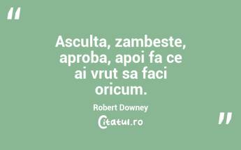 Asculta, zambeste, aproba, apoi fa ce ai vrut sa faci oricum. Robert Downey...