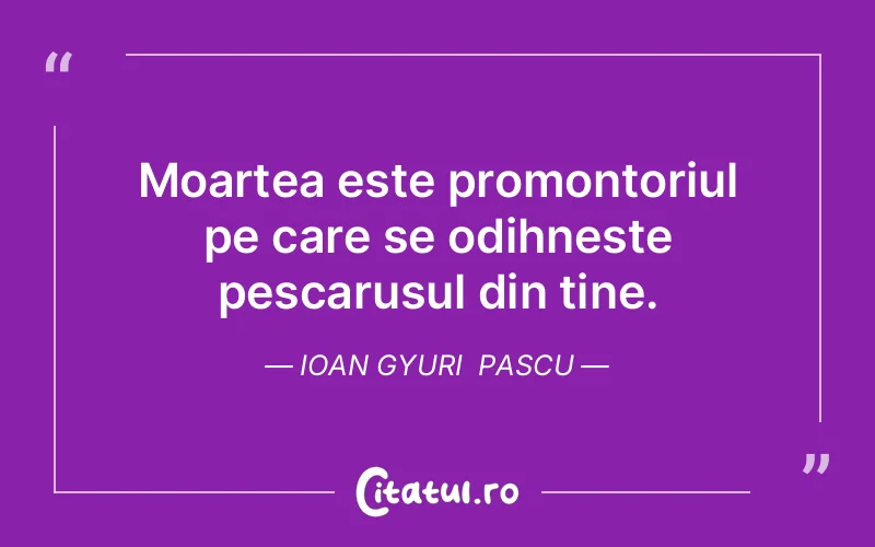 Citat Ioan Gyuri Pascu - citate viata