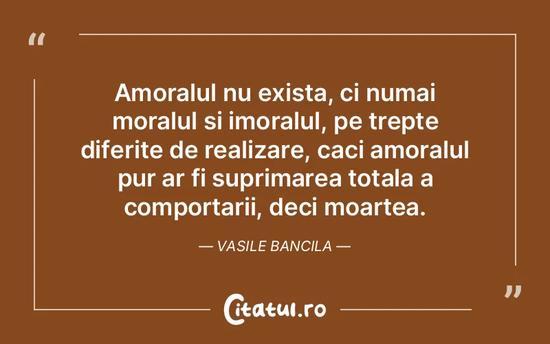 Citat Vasile Bancila - citate viata