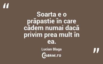 Soarta e o prăpastie în care cădem numai dacă privim prea mult în ea. Lucian Blaga...