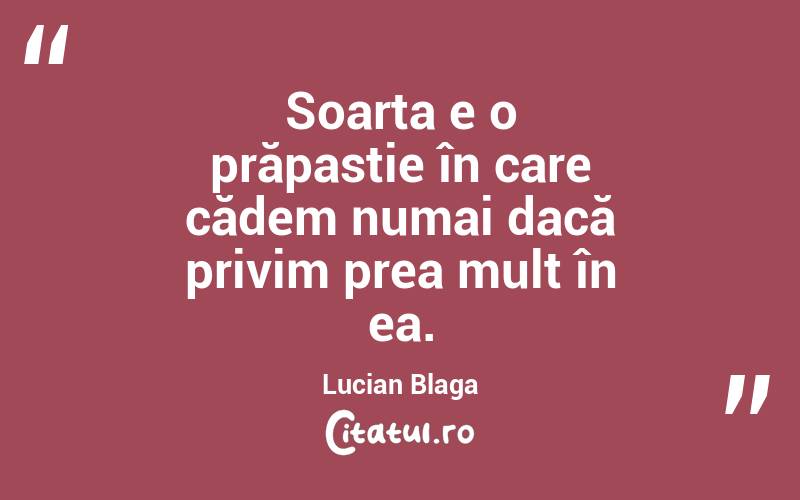 Soarta e o prăpastie în care cădem numai dacă privim prea mult în ea. Lucian Blaga
