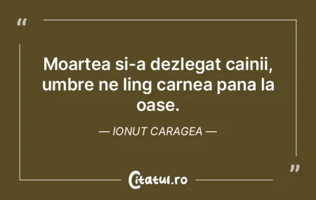 Murim și ne trezim mai bătrâni cu o m... Murim și ne trezim mai bătrâni cu o m...