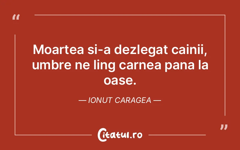 Citat Ionut Caragea - citate viata