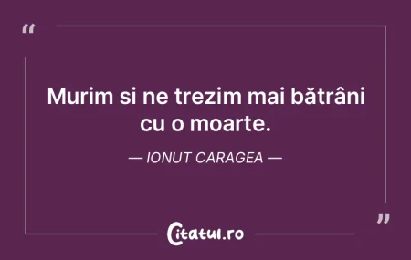 Fiecare poezie este o reincarnare sub o ...