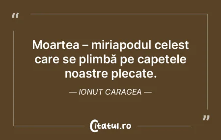 Oasele mele sunt aliniate într-un instr... Oasele mele sunt aliniate într-un instr...