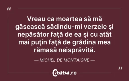 Tiranii, ca să împuşte doi iepuri din...