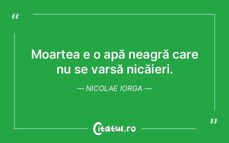 Citat Nicolae Iorga - citate viata