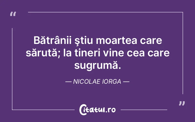 Citat Nicolae Iorga - citate viata