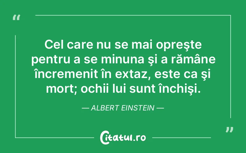 Citat Albert Einstein - citate viata