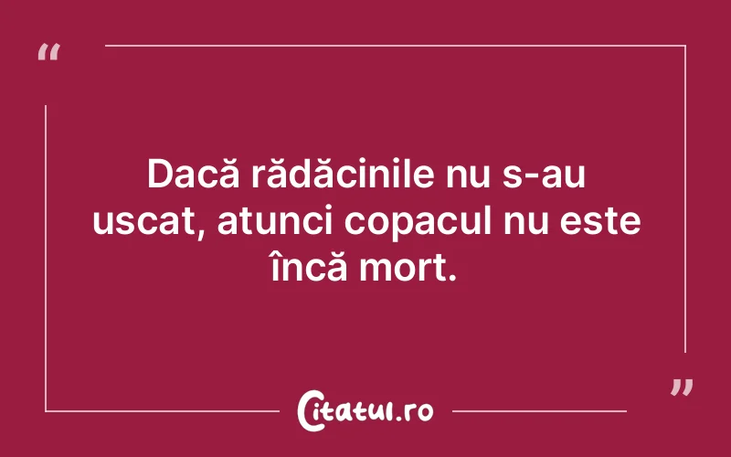 Citat Autor necunoscut - citate viata