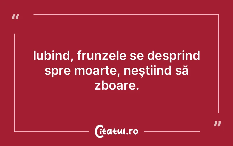 Citat Autor necunoscut - citate viata