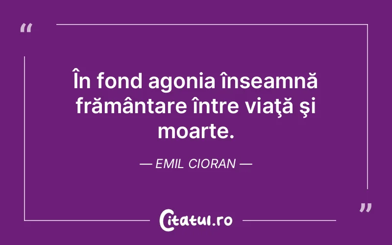 Citat Emil Cioran - citate viata