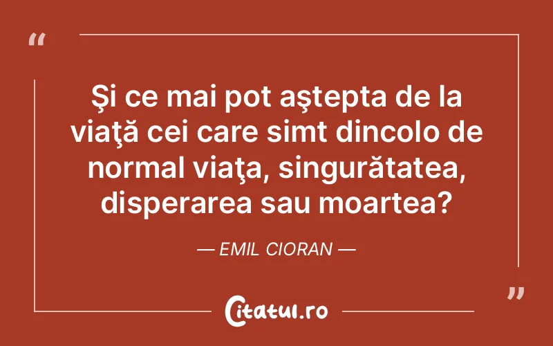 Citat Emil Cioran - citate viata