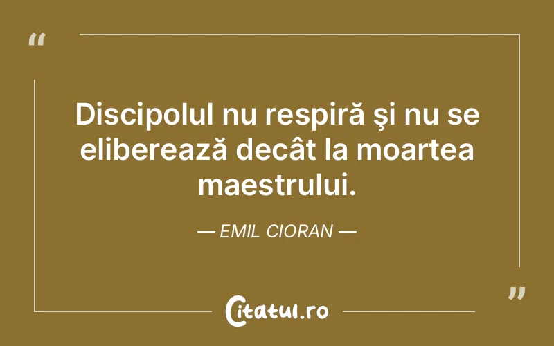 Citat Emil Cioran - citate viata