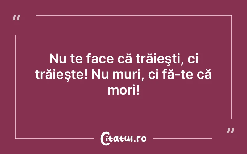 Citat Autor necunoscut - citate viata