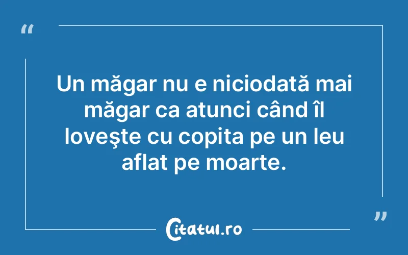 Citat Autor necunoscut - citate viata