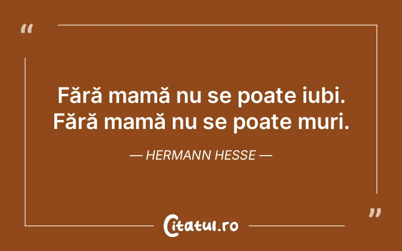Citat Hermann Hesse - citate viata