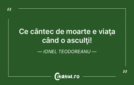 Moartea – pisica neagră ce împinge g... Moartea – pisica neagră ce împinge g...