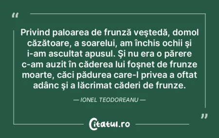 Pe calea vanității, singura certitudin...