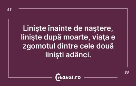 Drumul era încadrat, pe partea stângă... Drumul era încadrat, pe partea stângă...