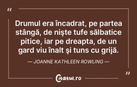 Sculatul şi culcatul devreme aduc unui ... Sculatul şi culcatul devreme aduc unui ...