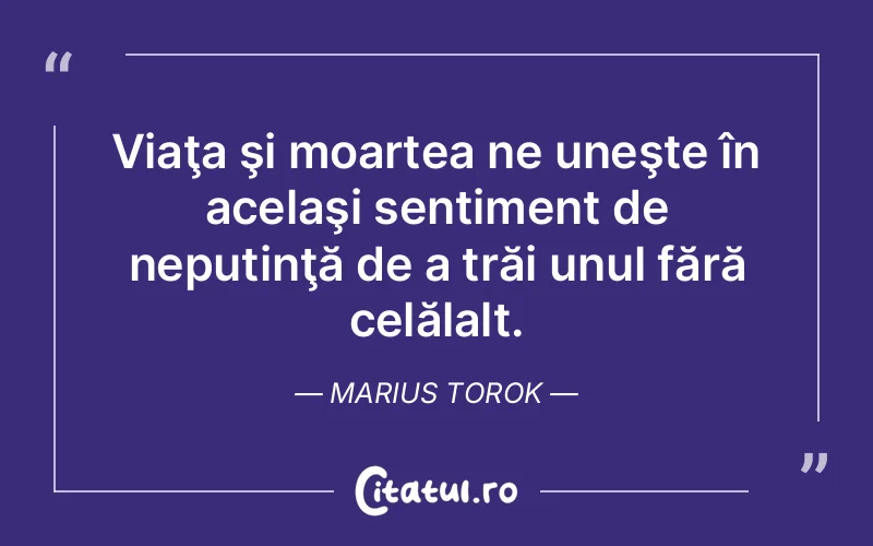 Citat Marius Torok - citate viata