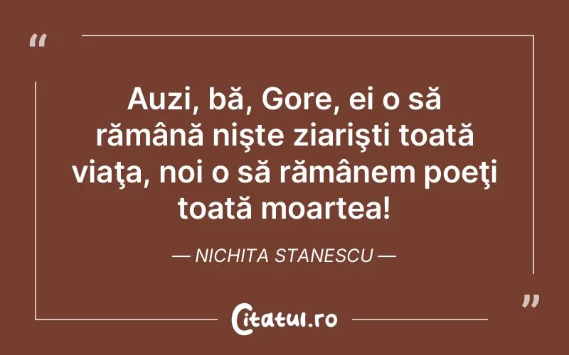 Citat Nichita Stanescu - citate viata