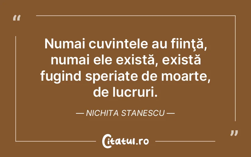 Numai cuvintele au fiinţă, numai ele există, există fugind speriate de moarte, de lucruri. Nichita Stanescu