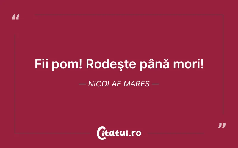 Citat Nicolae Mares - citate viata