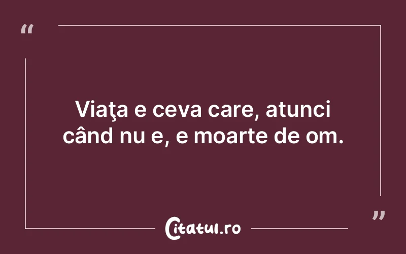 Citat Autor necunoscut - citate viata
