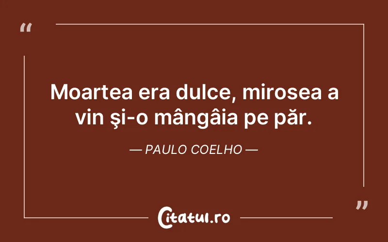 Citat Paulo Coelho - citate viata