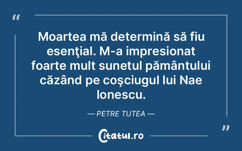 Moartea mă determină să fiu esenţial. M-a impresionat foarte mult sunetul pământului căzând pe coşciugul lui Nae Ionescu. Petre Tutea