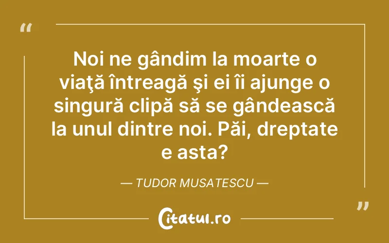 Citat Tudor Musatescu - citate viata