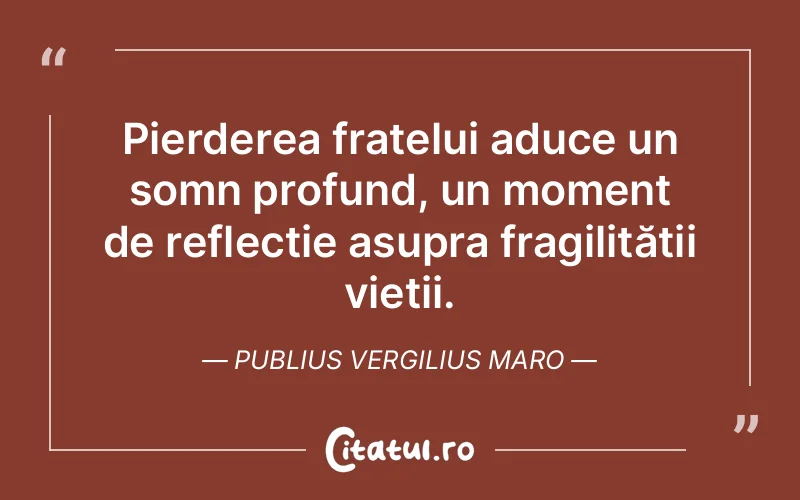 Citat Publius Vergilius Maro - citate viata