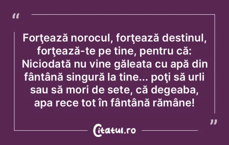 Căutăm să găsim oglinda noastră în...