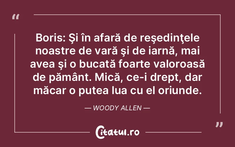 Citat Woody Allen - citate viata