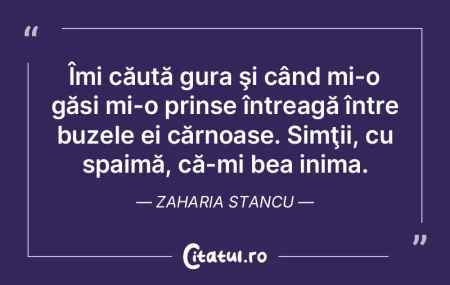 Când dormi, nu-ţi dai seama de nimic, ... Când dormi, nu-ţi dai seama de nimic, ...