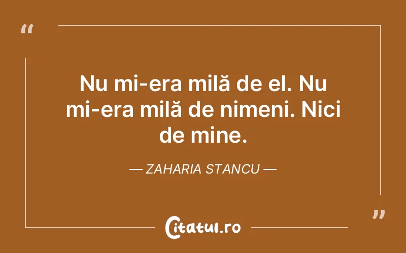 Citat Zaharia Stancu - citate viata
